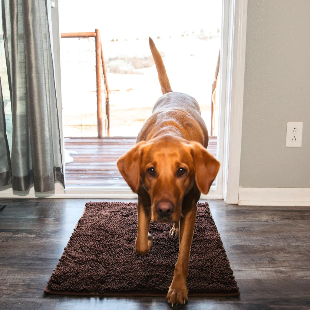 CleanPaws™ Doggy Door Mat